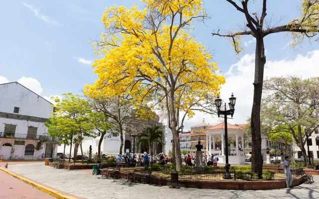The Plaza Catedral Views by Acomodo Casco Viejo