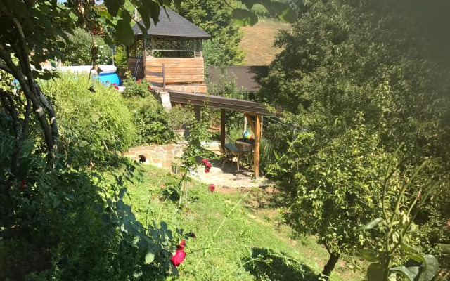Wine & Nature & Tour
