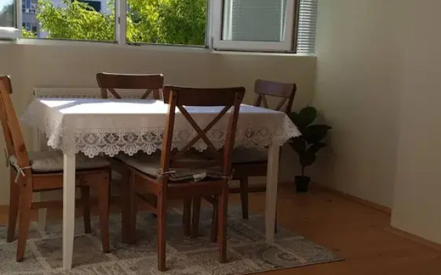 Sunny and Charming Domain for Your Stay in Sofia