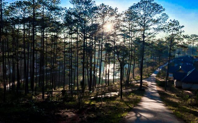 Bidoup - Nui Ba National Park
