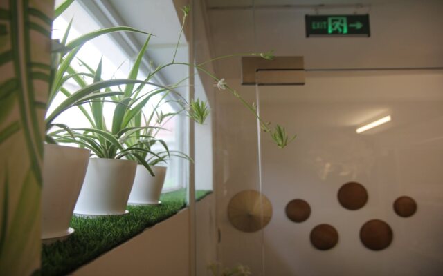 Hanoi EcoStay 1 hostel