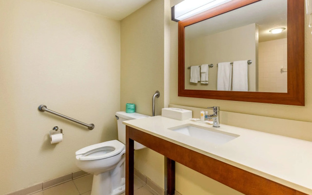 Comfort Inn Red Horse Frederick