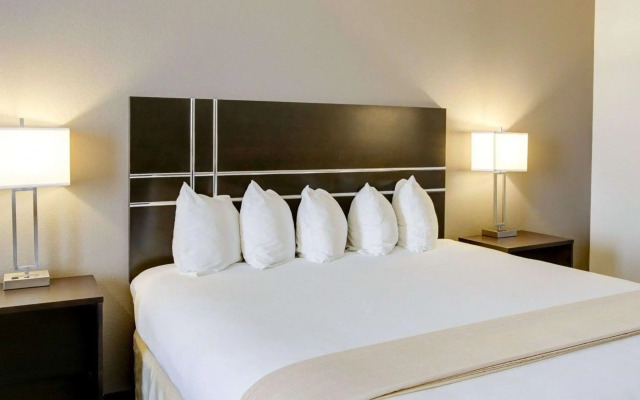Quality Inn & Suites Bryan-College Station