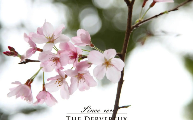 The Devereux Boutique Hotel