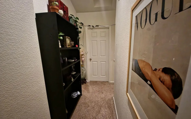 Casa de gato