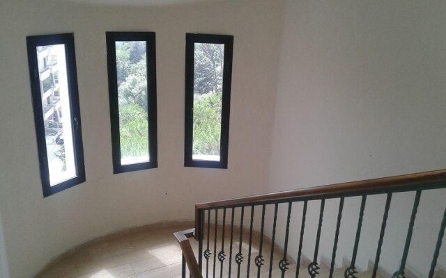 Dynasty Suite