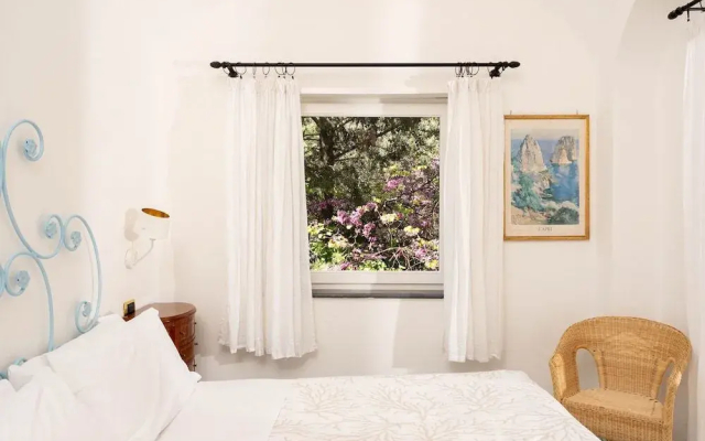 Oliveto Capri