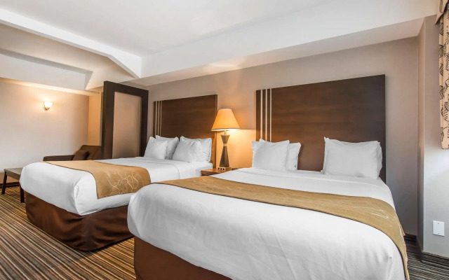 Comfort Suites Downtown