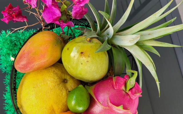 les tiny houses d'akapa