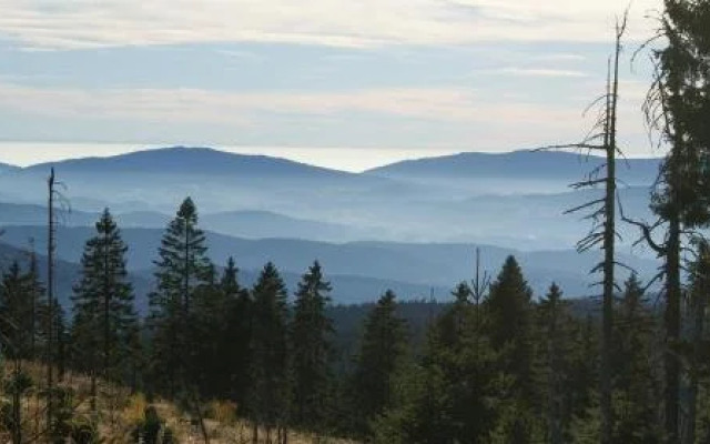 Ferienwohnungen Annika