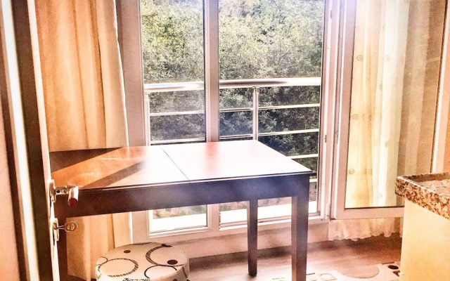 ST Apartment