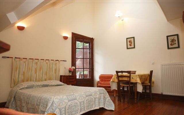 Rosa Enia Studio N 3