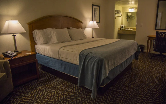 Delta Resort and Spa