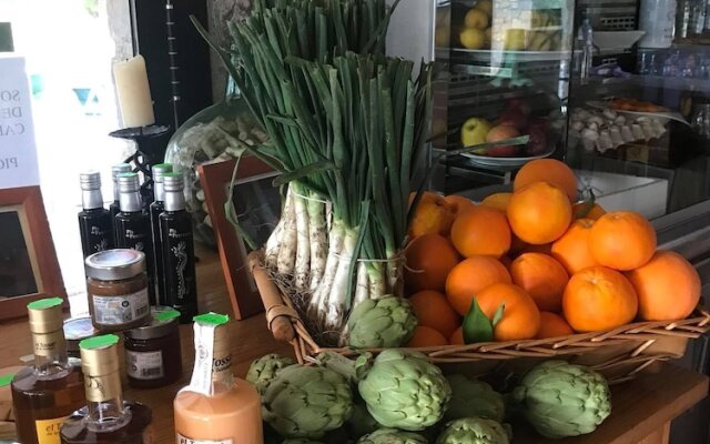 Camping Fonts de l'Algar