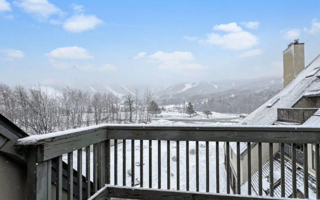 Mt Green 3-f04 in Killington