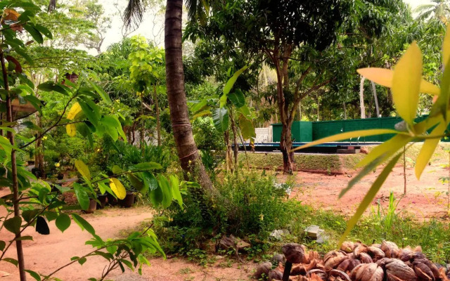 Sun and Green Eco Lodge