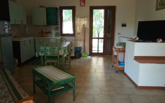 Green House - Woods And Beaches - Sardinia