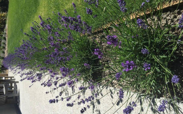 Hopkins River Holiday Park