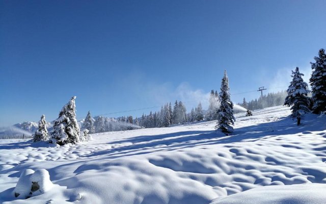 Falkensteinalm Hochkrimml