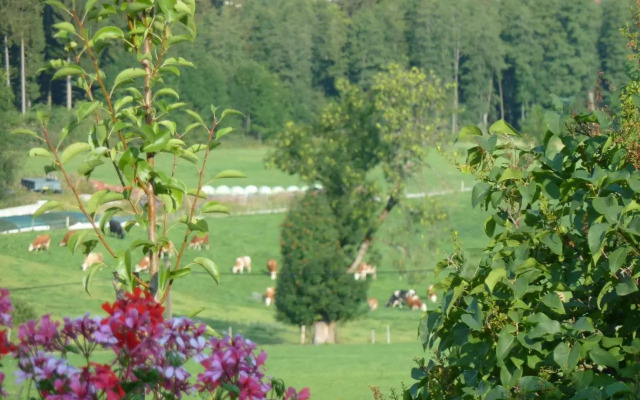 Ferienwohnung Panorama