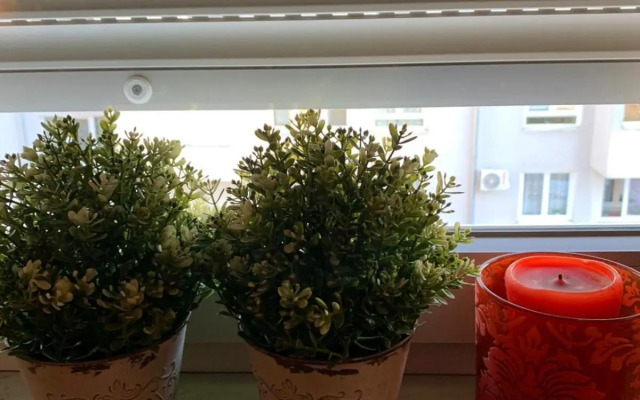 Šarmantni apartman Malecka 2