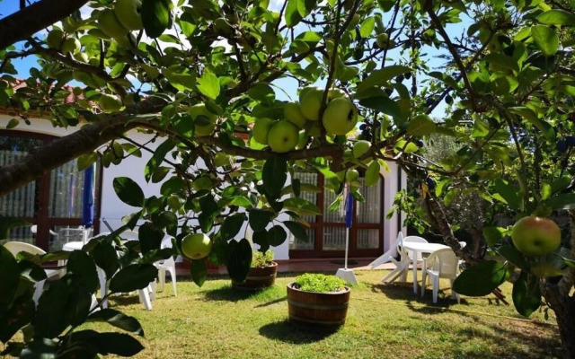 Agriturismo Valle dei Venti