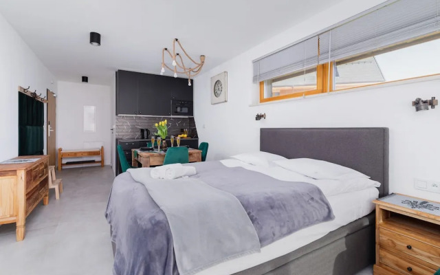 Kościelisko Studio & Parking by Renters