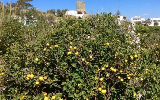 Villa Carano