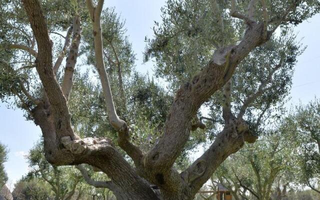 I Trulli del Nonno Michele