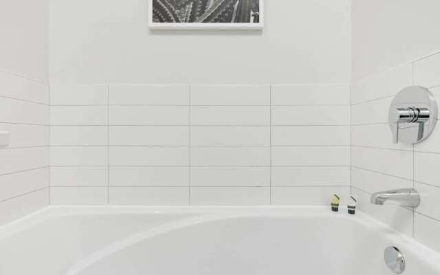 Discover Little Italy From a Bright Apartment