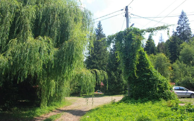 Zarinok