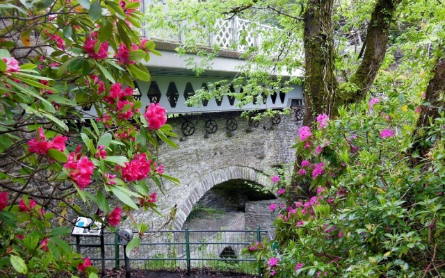 Broncoedwig Devil's Bridge