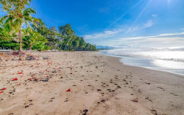 Esterillos Estates Coconut 38
