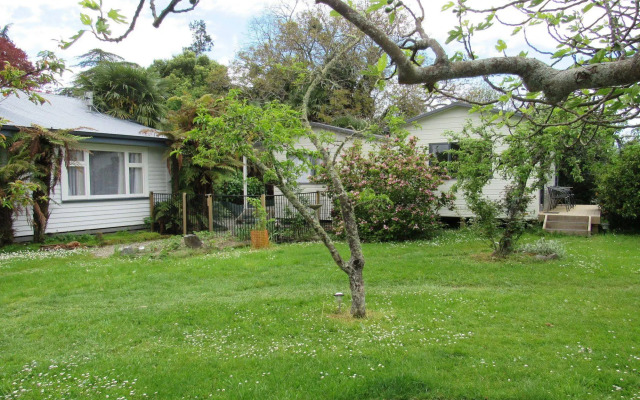 The White Elephant Accommodation - Hostel