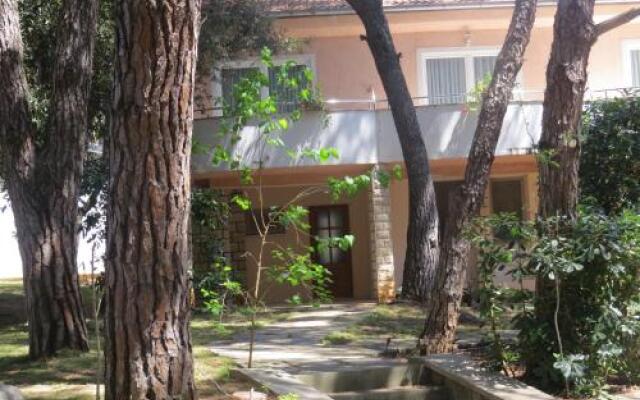 Diana & Josip Mobile Homes
