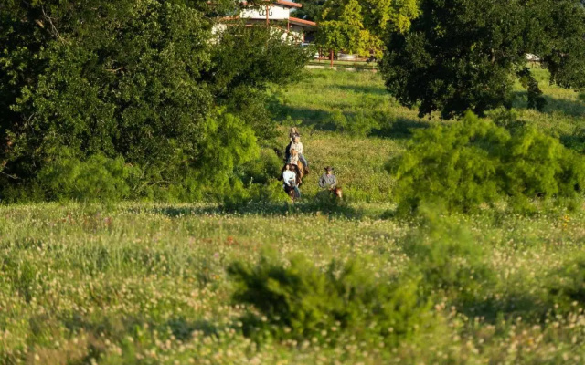 Wildcatter Ranch & Resort