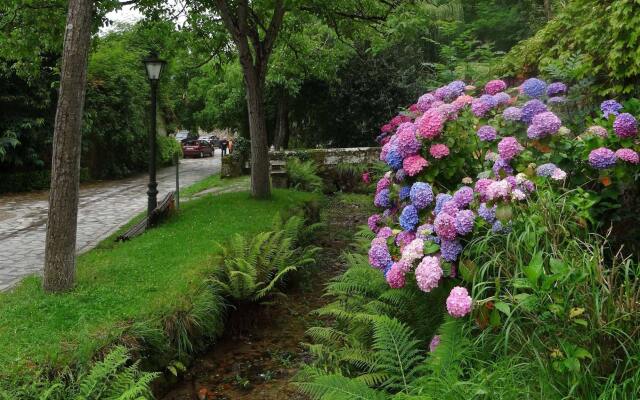 Camino Real de Selores