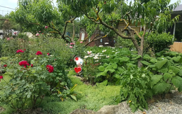 Flowering garden