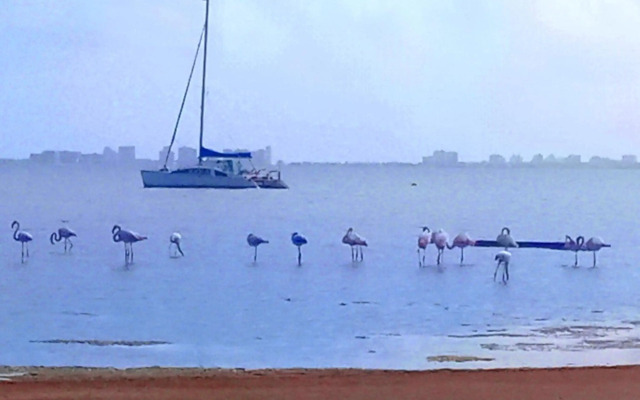 On the sandy uncrowded beach of Los Urrutias