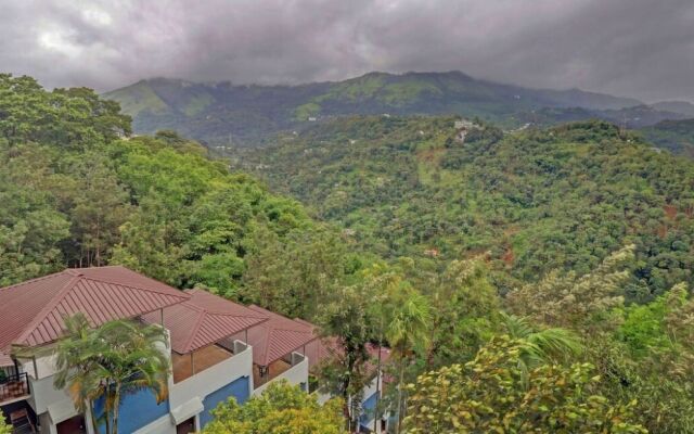 The View Munnar