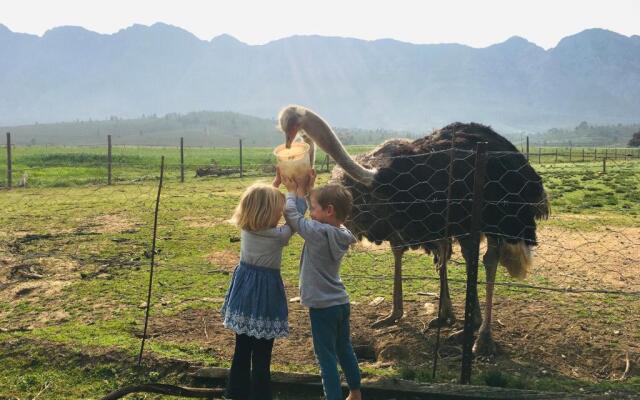 Witzenberg Guest Farm