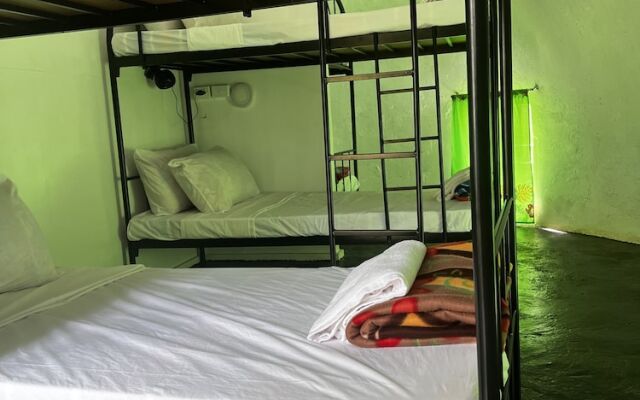 Camp Taveuni