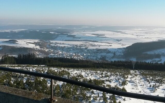 Pleasing Apartment in Dreislar Near Ski Area