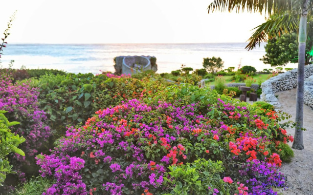 Tanna Evergreen Resort & Tours