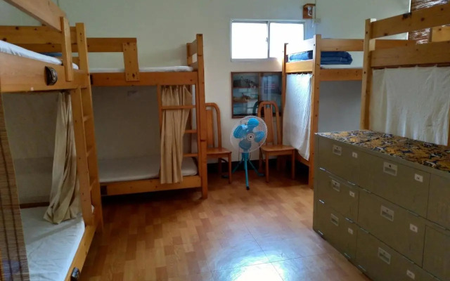 Mountain Lodge Hostel