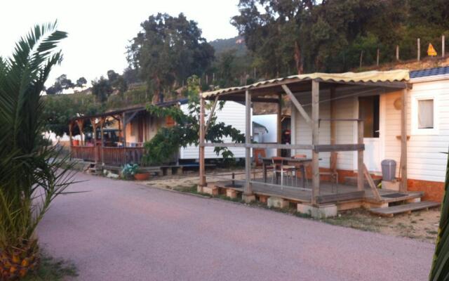 Mobile Home A Saliva