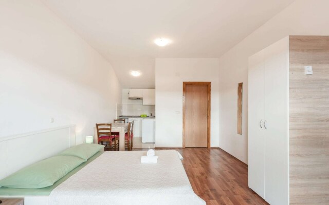 Serene Holiday Home in Posedarje near Sea