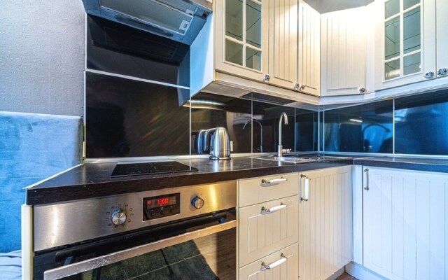 Апартаменты Loft Petrograd 2