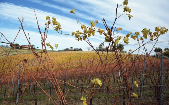 Agriturismo Al Rifugio DiVino