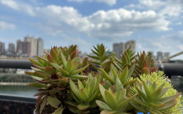 Xana Lite Hotelle (Zizhong Shanghehui)